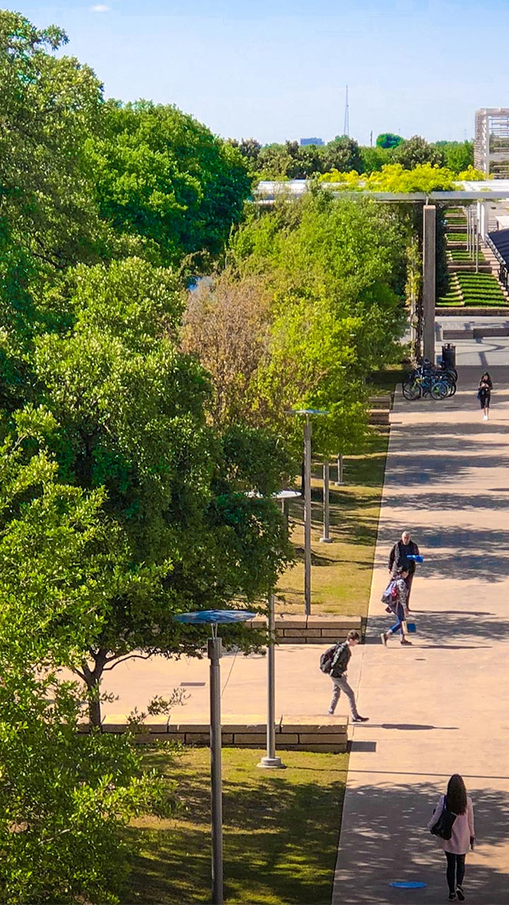 Aerial view of trees and students walking on UTD campus.